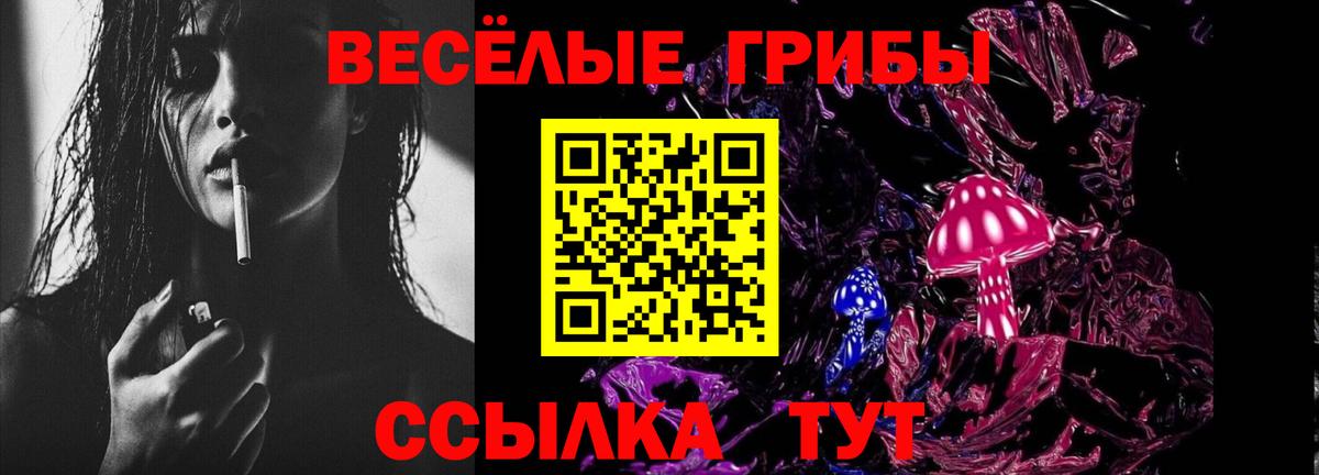 Галлюциногенные грибы Psilocybe  Вход с VPN  Псилоцибиновые грибы ЛСД  Алапаевск 